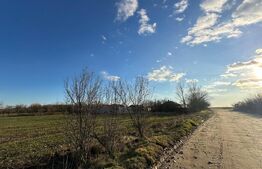 Casa batrâneasca de vanzare, 48 mp, zona Patroaia Deal cu Comision 0