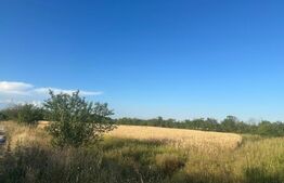 Casa batrâneasca de vanzare, 48 mp, zona Patroaia Deal cu Comision 0