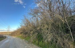 Casa batrâneasca de vanzare, 48 mp, zona Patroaia Deal cu Comision 0