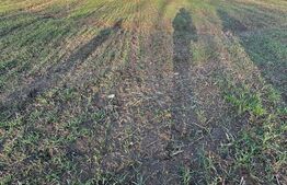 Casa batrâneasca de vanzare, 48 mp, zona Patroaia Deal cu Comision 0