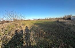 Casa batrâneasca de vanzare, 48 mp, zona Patroaia Deal cu Comision 0