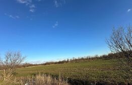 Casa batrâneasca de vanzare, 48 mp, zona Patroaia Deal cu Comision 0