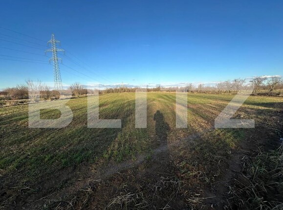 Casa de vânzare 2 camere Exterior Est - 164733CV | BLITZ Târgoviște | Poza8