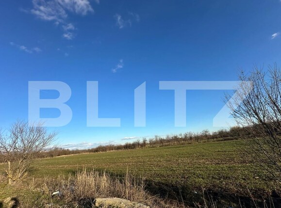 Casa de vânzare 2 camere Exterior Est - 164733CV | BLITZ Târgoviște | Poza3