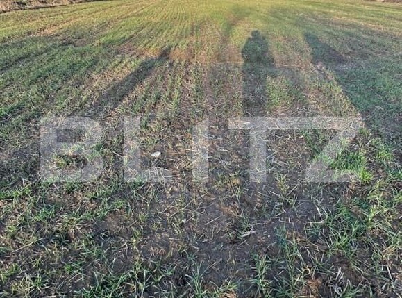 Casa de vânzare 2 camere Exterior Est - 164733CV | BLITZ Târgoviște | Poza16