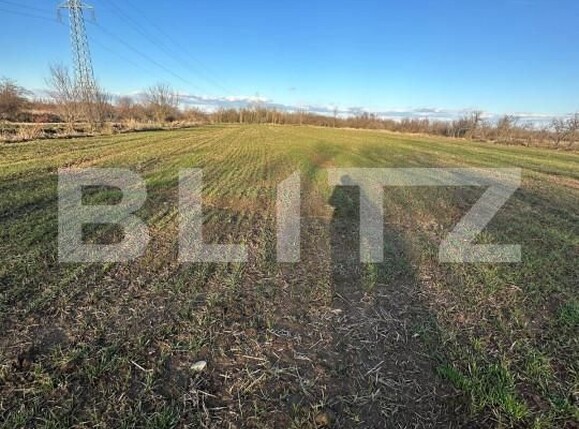 Casa de vânzare 2 camere Exterior Est - 164733CV | BLITZ Târgoviște | Poza7