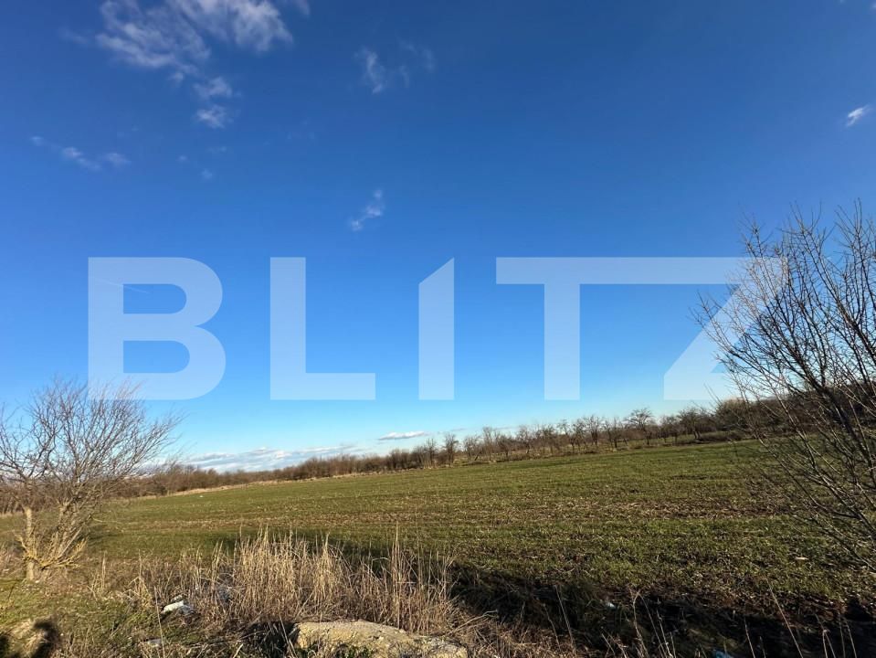 Casa de vânzare 2 camere Exterior Est - 164733CV | BLITZ Târgoviște | Poza3