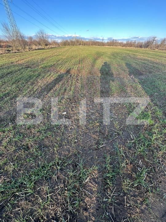 Casa de vânzare 2 camere Exterior Est - 164733CV | BLITZ Târgoviște | Poza5