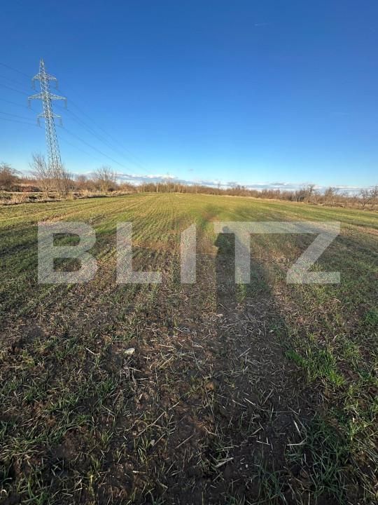 Casa de vânzare 2 camere Exterior Est - 164733CV | BLITZ Târgoviște | Poza7