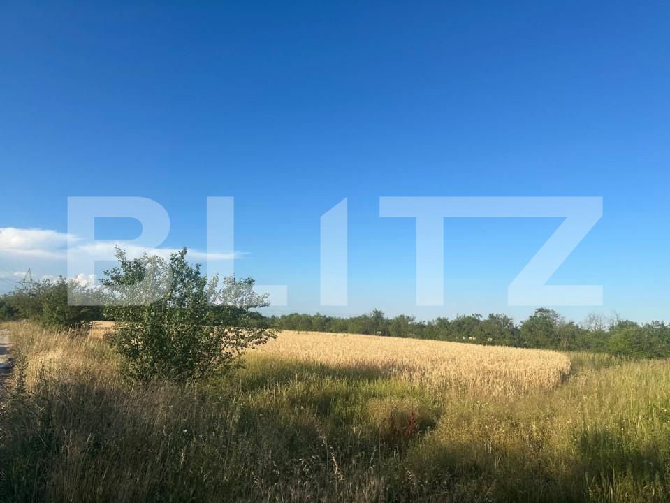 Casa de vânzare 2 camere Exterior Est - 164733CV | BLITZ Târgoviște | Poza13