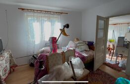 Casa Gaesti cu teren de 5000mp