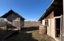 Casa Gaesti cu teren de 5000mp