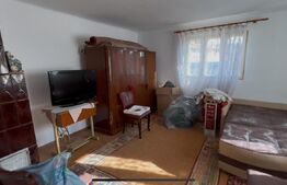 Casa Gaesti cu teren de 5000mp