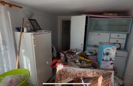 Casa Gaesti cu teren de 5000mp