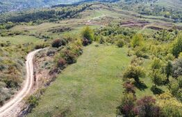 Teren extravilan, 41.631,00 mp, zona Pietrosita