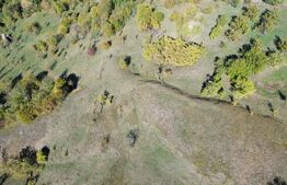 Teren extravilan, 41.631,00 mp, zona Pietrosita