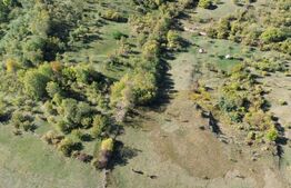 Teren extravilan, 41.631,00 mp, zona Pietrosita