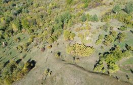 Teren extravilan, 41.631,00 mp, zona Pietrosita