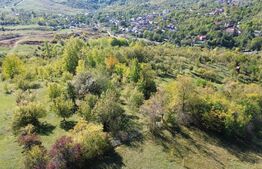 Teren extravilan, 41.631,00 mp, zona Pietrosita