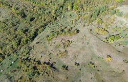 Teren extravilan, 41.631,00 mp, zona Pietrosita