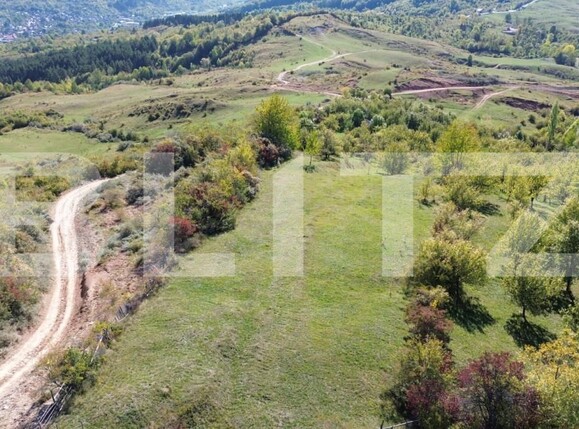 Teren de vânzare Exterior Nord - 164778TV | BLITZ Târgoviște | Poza3