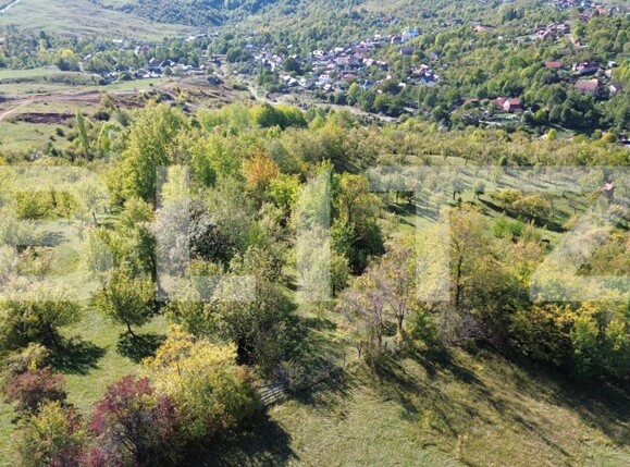 Teren de vânzare Exterior Nord - 164778TV | BLITZ Târgoviște | Poza1