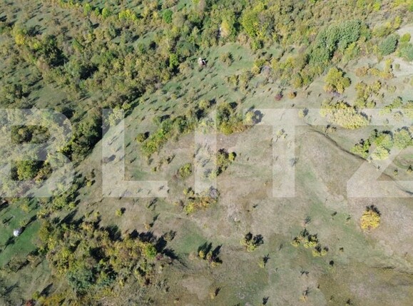 Teren de vânzare Exterior Nord - 164778TV | BLITZ Târgoviște | Poza6