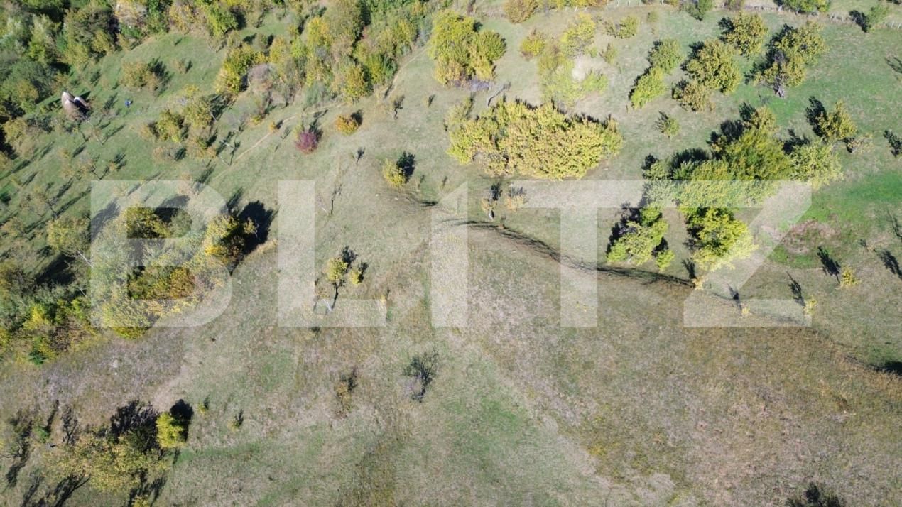 Teren de vânzare Exterior Nord - 164778TV | BLITZ Târgoviște | Poza4