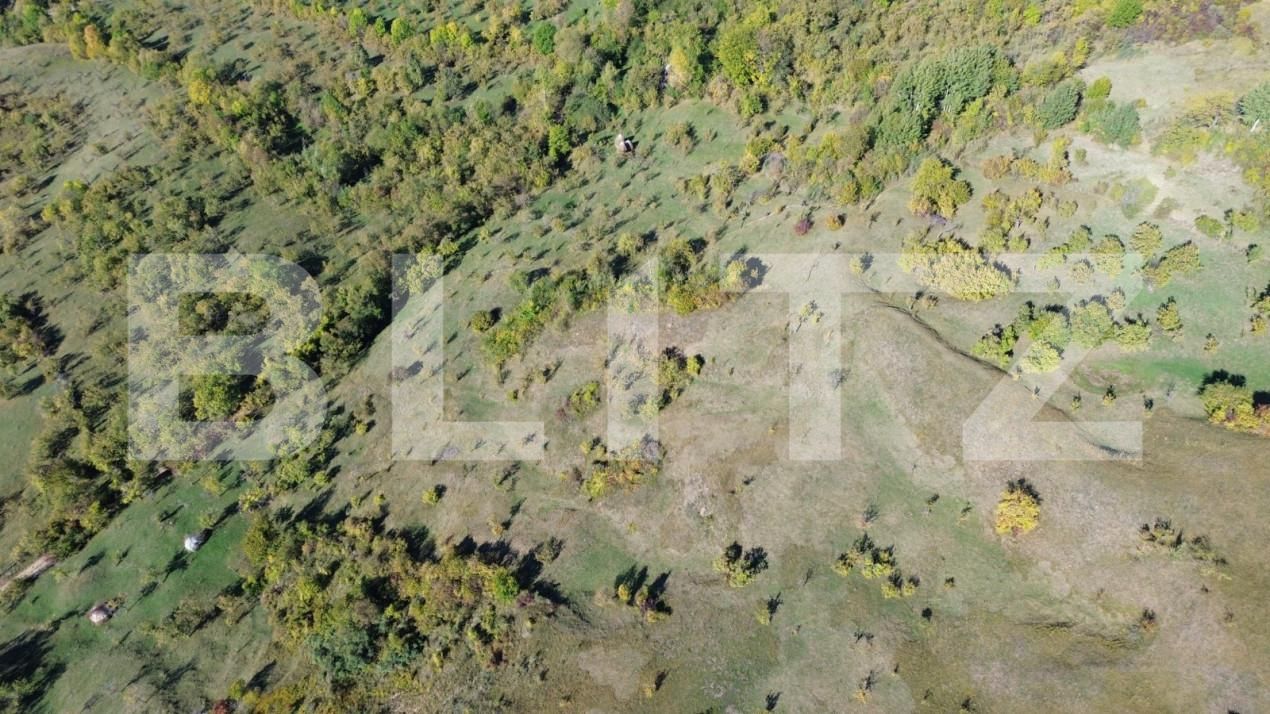 Teren de vânzare Exterior Nord - 164778TV | BLITZ Târgoviște | Poza6