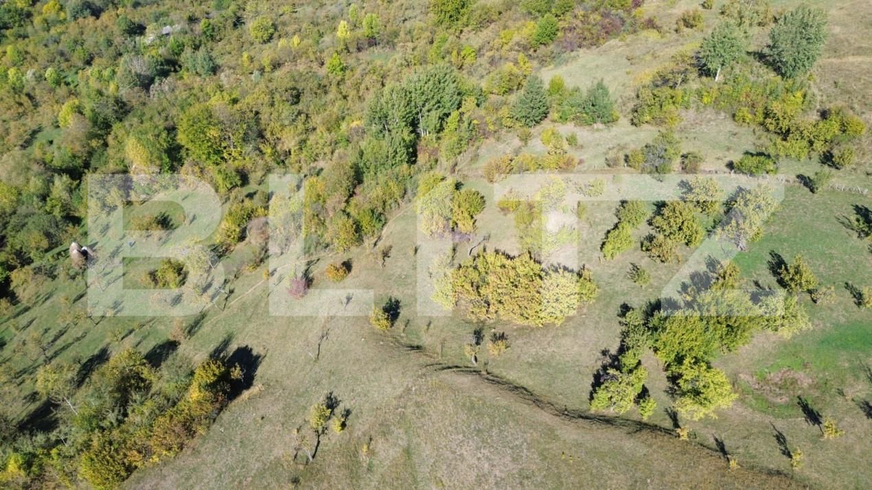 Teren de vânzare Exterior Nord - 164778TV | BLITZ Târgoviște | Poza2