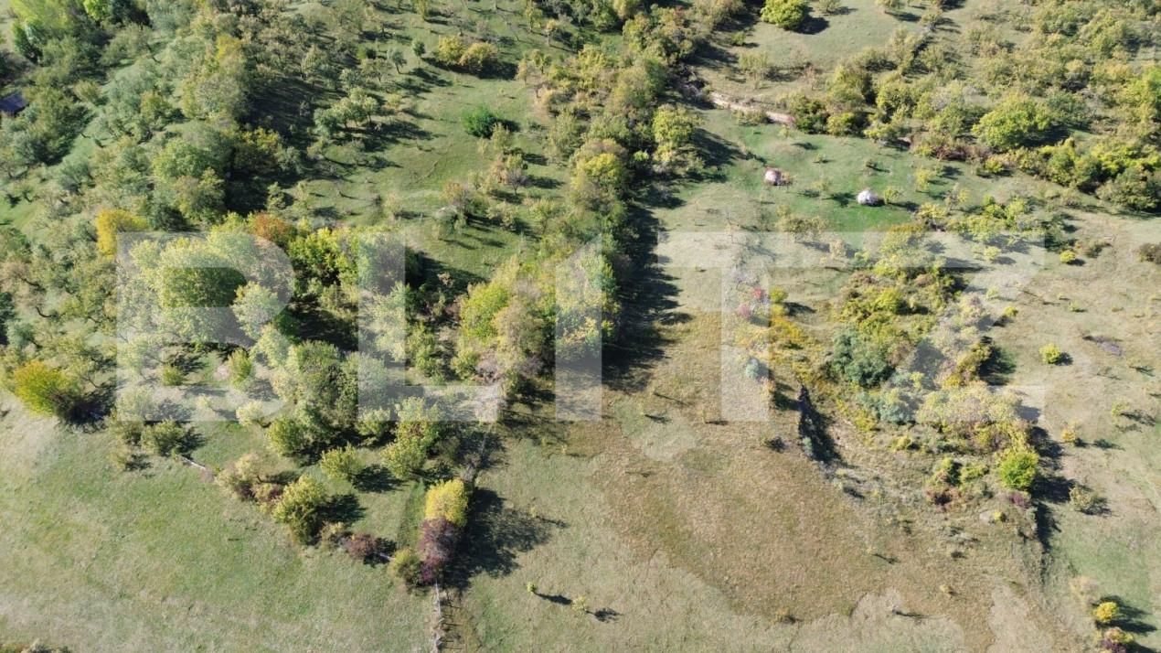 Teren de vânzare Exterior Nord - 164778TV | BLITZ Târgoviște | Poza5