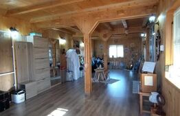 VILĂ DE LUX FIENI Comision 0% cumparator 