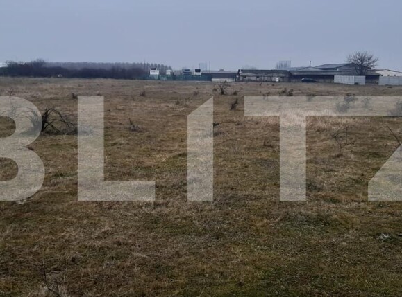 Teren de vânzare Centura - 164890TV | BLITZ Târgoviște | Poza1