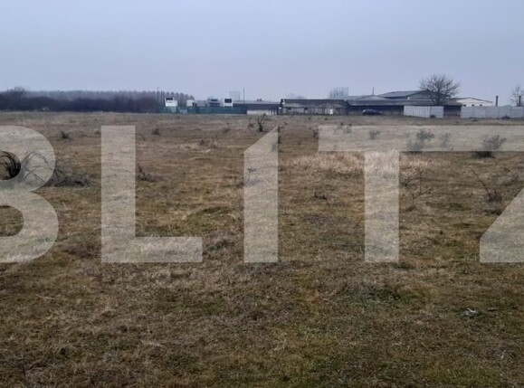 Teren de vânzare Centura - 164890TV | BLITZ Târgoviște | Poza2