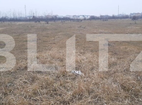 Teren de vânzare Centura - 164890TV | BLITZ Târgoviște | Poza3