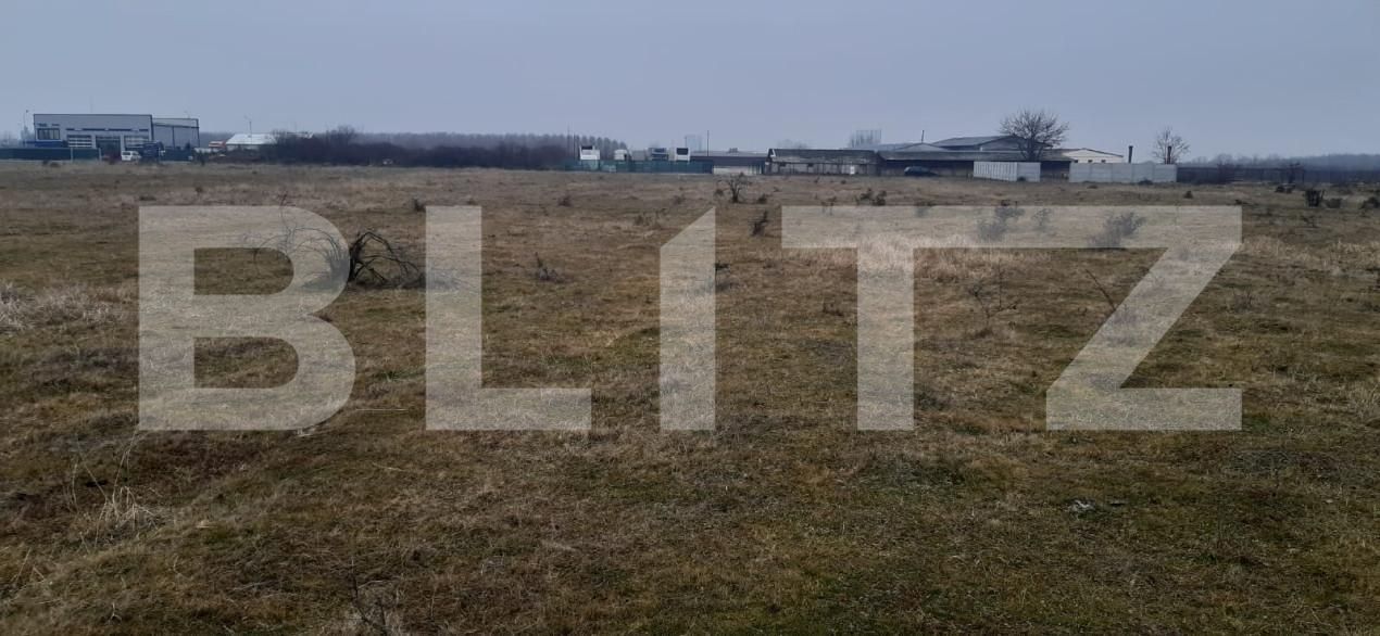 Teren de vânzare Centura - 164890TV | BLITZ Târgoviște | Poza1