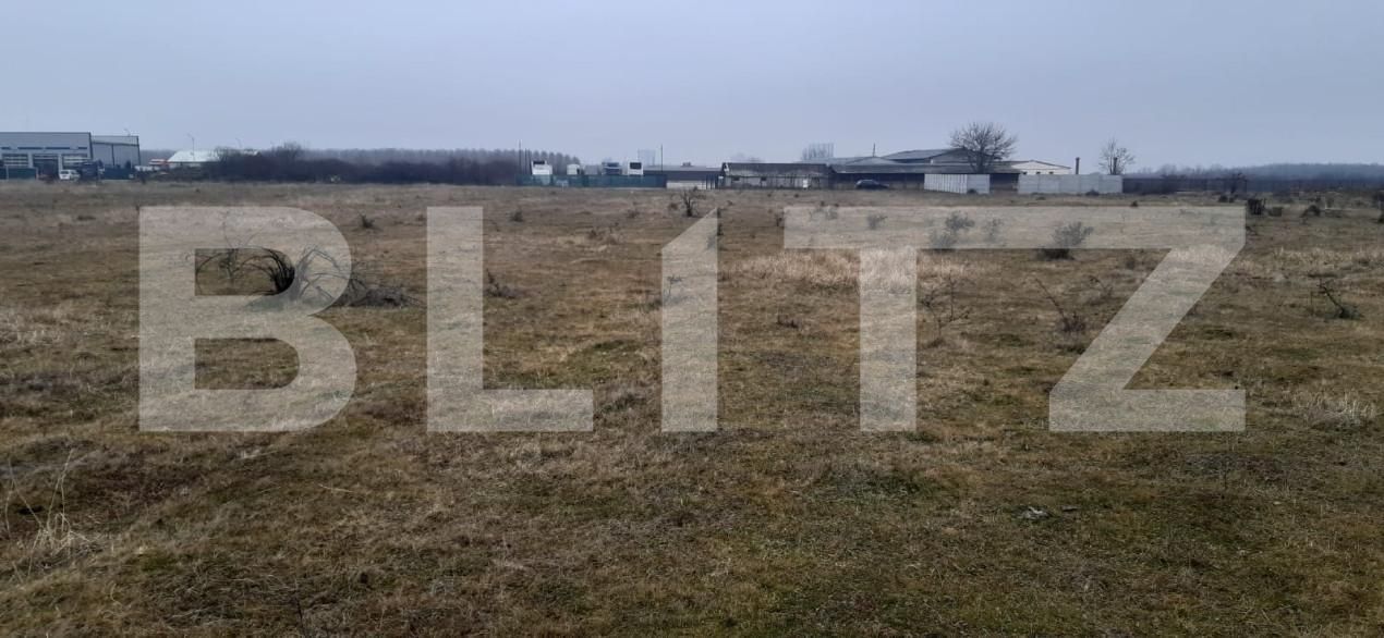 Teren de vânzare Centura - 164890TV | BLITZ Târgoviște | Poza2