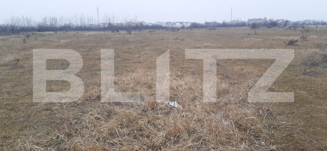 Teren de vânzare Centura - 164890TV | BLITZ Târgoviște | Poza3