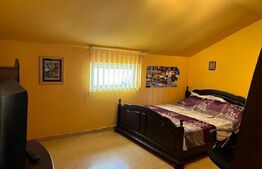 Casa P+1 de vanzare, cu 4 camere, 180 mp, zona Micro 2