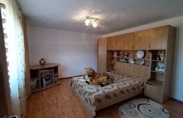 Casă mobilată și utilată 164 mp utili, teren 1034 mp Dragomiresti