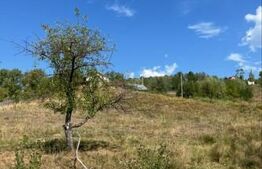 Teren de vânzare Priseaca - 167816TV | BLITZ Târgoviște | Poza5