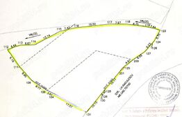 Teren Intravilan 1561mp Pucioasa