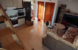 Apartament in duplex, 2 camere Pucioasa