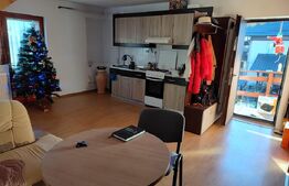 Apartament in duplex, 2 camere Pucioasa