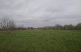 Teren intravilan, 3515 mp, zona Crevedia