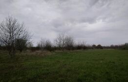 Teren intravilan, 3515 mp, zona Crevedia