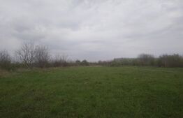 Teren intravilan, 3515 mp, zona Crevedia