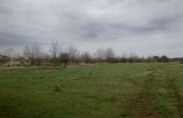 Teren intravilan, 3515 mp, zona Crevedia