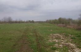 Teren intravilan, 3515 mp, zona Crevedia