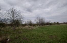 Teren intravilan, 3515 mp, zona Crevedia